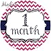 12 Monthly Baby Stickers, Pink & Navy Blue, Girl, Baby Belly Stickers, Monthly Onesie Stickers, First Year Stickers Months 1-12, Pink & Navy Blue, Nautical, Baby Girl