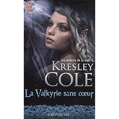 Les ombres de la nuit, tome 2: La valkyrie sans coeur