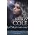 Les ombres de la nuit, tome 2: La valkyrie sans coeur