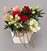 ���G�}�A�[�g�t�����[�@�`�Q�U�O�R�|�T�O�@