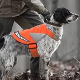 犬の散歩用安全ベスト(有機EL使用のペット用品)XLサイズ:オレンジ:LumiJack