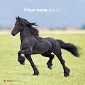 Horses 2010 Calendars