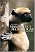 Guide to the Mammals of Madagascar