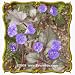 1 Oz California Bluebell (Phacelia campanularia) Bulk Wildflower Seeds