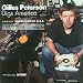 Gilles Peterson Digs America