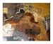 Energy Four Abstract Photographic Poster Print by Ruth Palmer, 20x16