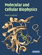 Molecular and Cellular Biophysics