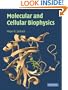 Molecular and Cellular Biophysics