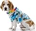 Hawaiian Dog Pet Halloween Costume (Small)