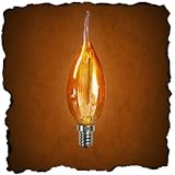 Antique Light Bulb Co. 120 Volt