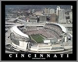 Cincinnati Bengals - Lg - Plaque Mounted and Laminated