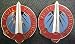 116th Military Intelligence Group Distinctive Unit Insignia - Pair