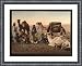 Camels halting in the desert Holy Land, c. 1890s, FRMD S-BA
