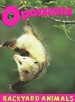 Opossums (Backyard Animals)