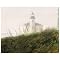 Fog at Bandon Poster - 16x25"