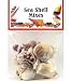 Sea Shell Mixes-Medium