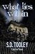 What Lies Within (5th Sam Casey Mystery)