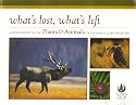 What's Lost, What's Left: A Status Report on the Plants & Animals of the Lewis & Clark Expedition (Sierra Club)