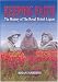Keeping Faith: The Royal British Legion (1921-2001)