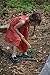 SturdiGuns Kids Wooden Toy Knife, Made in America, Extremely Durable