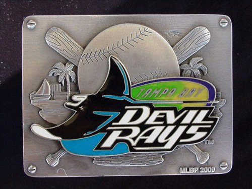 Tampa Bay Rays Trailer Hitch Cover