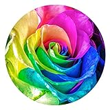 [FOR U DESIGNS]個性的なデザイン　円形　マット　滑り止め付き　保護マット　mat　直径約60cm　綺麗なバラ柄