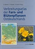 Verbreitungsatlas der Farn- und Bl�tenpflanzen Ostdeutschlands - 
