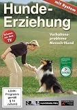 Hundeerziehung mit System: Verhaltensprobleme Mensch-Hund