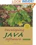Developing Java Software (third edition)