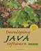 Developing Java Software (third edition)