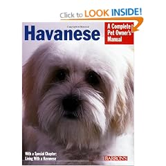 Havanese