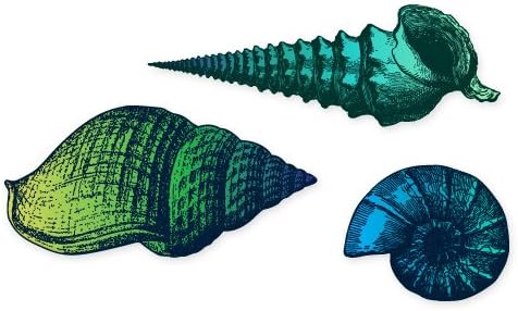 Seashells Set of 3 Natucal Ocean Sea Inspired Blue Vinyl Stickers - SELECT SIZE