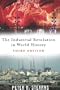 The Industrial Revolution in World History