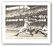 Joltin' Joe DiMaggio by Corbis-Bettmann 11.5