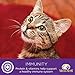 Wellness Divine Duos Natural Grain Free Wet Cat Food, Poultry Pleasers Variety Pack, 2.8-Ounce Cup (Pack Of 24)