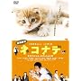 ����� �l�R�i�f �X�y�V�����E�G�f�B�V���� [DVD]