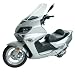 Gas Motor Scooter "The Voyager" 250cc