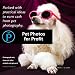 Pet Photos For Profit