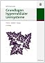 Grundlagen hypermedialer Lernsysteme: Theorie - Didaktik - Design