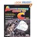 Absolute Beginner's Guide to C (2nd Edition)