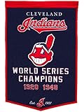 MLB Wool Dynasty Wall Banner