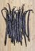 Madagascar Bourbon Vanilla Beans (25 Beans)