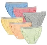Fruit of the Loom Womens 6-Pack Heather Bikinis