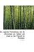 Der Englische Peterspfennig Und Die Lehenssteuer Aus England... at Amazon: 51lgUj-VeGL._SL75_