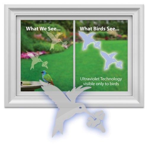 Hummingbird Window Decal-Save Wild Birds!