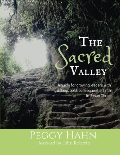 The Sacred Valley: A guide for growing leaders with a deep, bold, consequential faith in Jesus Christ