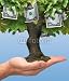 Wallmonkeys Peel and Stick Wall Decals - Dollar Tree - Removable Graphic