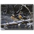 Nostalgic Ducks Unlimited Tin Sign : Interlude
