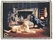 Black and Yellow Labs Labrador Retriever Tapestry Throw Blanket by Ducks Unlimited