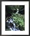 Patagonian Waterfall, Cascada La Macarena, Tierra Del Fuego National Park, Near Ushuaia, Argentina Framed Art Poster Print by Holger Leue, 18x22